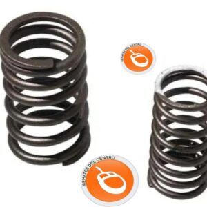 RESORTE EXTERNO E INTERNO DE VALVULA CS125,DS125,DS150,WS150